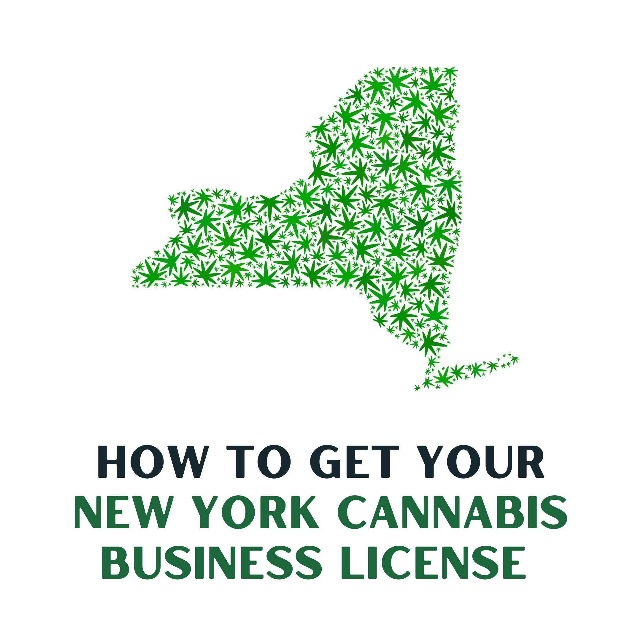 How to Get your New York Cannabis Business License